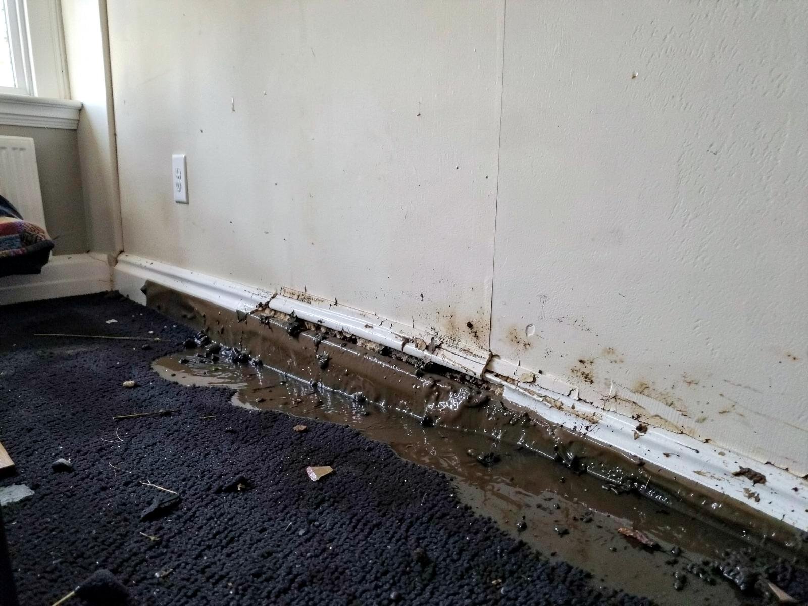 Before flood cleanup — bedroom carpet saturated with muddy floodwater along the wall, drywall stained and swollen about a foot up, baseboard warped away from the wall.