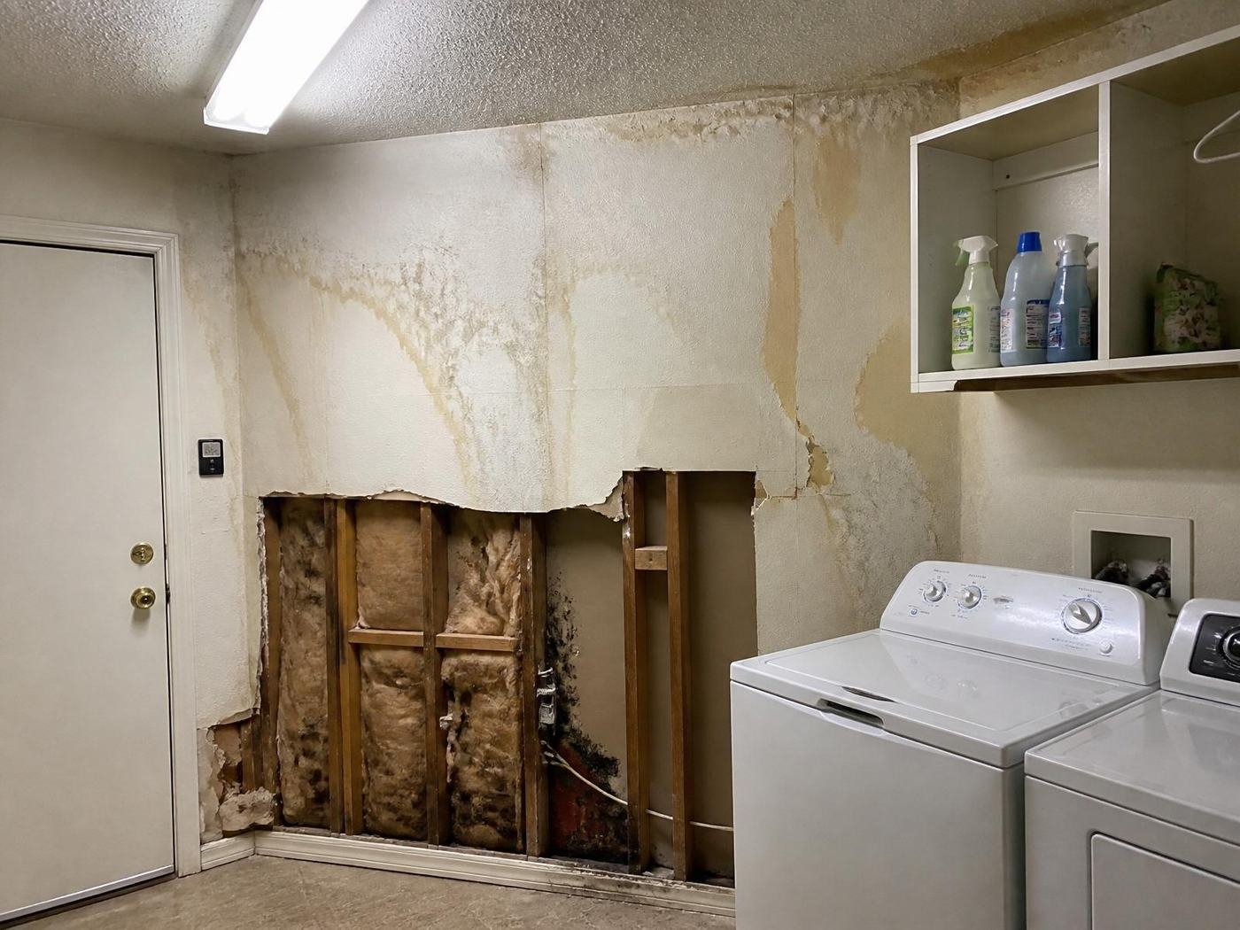 Job #WD-2503-029 before restoration — laundry room, same camera angle as the after photo. Drywall behind the washer cut open exposing wet studs, insulation, and black mold, with bubbling paint and brown water stains fanning across the surrounding wall.