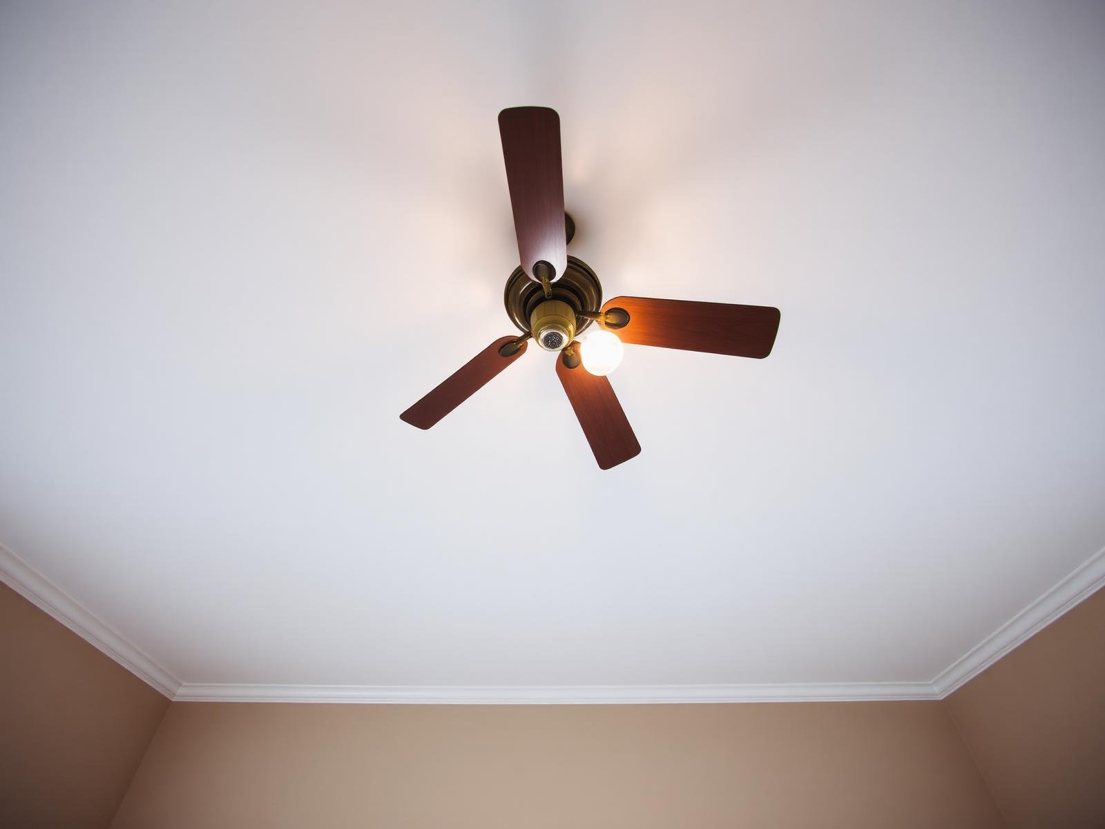 After water extraction and repair — ceiling drywall patched flat, cavity dried, and freshly painted
