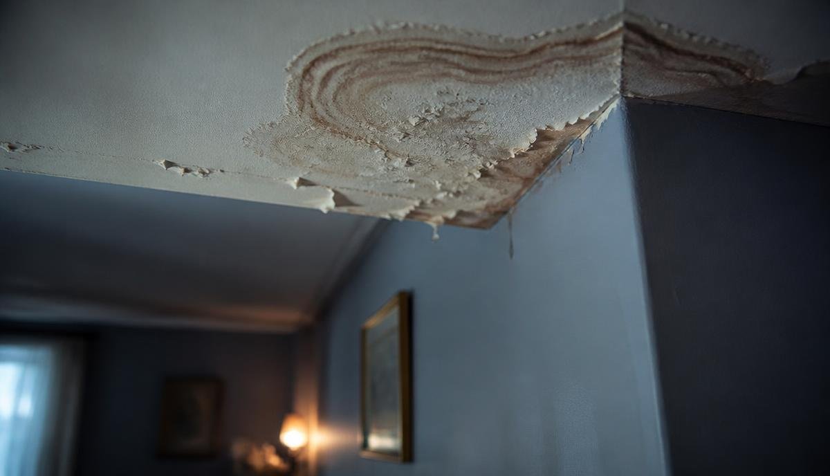 Visible water stains on a white ceiling with brown rings and bubbling paint